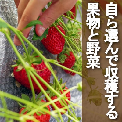 牧場アイス 季節のお勧め大人気6個セット【行木牧場のアイスクリームセット】しぼりたて牛乳で作りました【配送不可地域：離島】