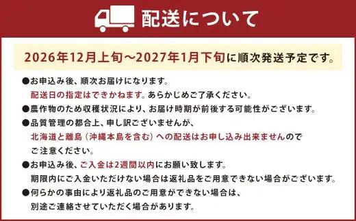 福岡産【冬】あまおう4パック いちご 苺 イチゴ 果物 くだもの フルーツ 冷蔵 【2026年12月上旬～2026年1月下旬発送予定】