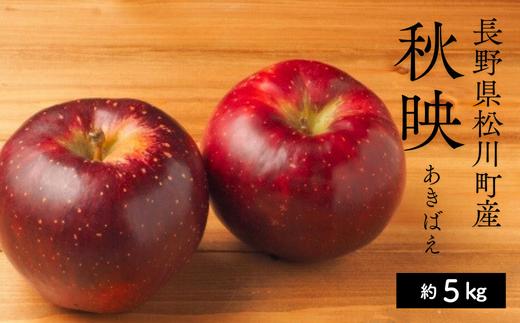 
            KR09-25A りんご 秋映 （中玉）約5kg（14～16玉）贈答 / 2025年10月上旬頃～配送予定 // 長野県 南信州 松川町産 ギフト りんご リンゴ 林檎 秋映
          