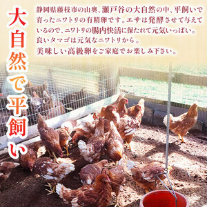 卵 有機卵 15個+割れ保証5個 計20個 平飼い 卵