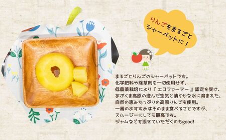 《10月下旬以降順次発送》りんご農家が作る絶品冷凍りんご！「冷え冷えアップル」10個入り りんご 冷凍りんご 果樹園 手作り 小分け スイーツ お菓子 おやつ おすすめ お中元 お歳暮 ギフト 二本松