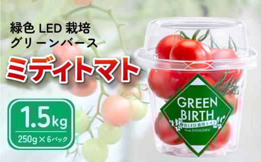 トマト ミディトマト 1.5kg (250g×6) グリーンバース 2025年 11月～ 発送予定 野菜 やさい 果物 スイーツ ジュース トマトジュース パスタ スパゲッティ ソース サラダ ドレッシング サンドイッチ ハンバーガー ピザ カレー プチトマト 送料無料 四電工 徳島県 吉野川市
