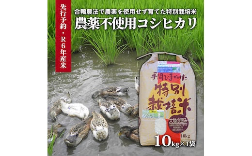 
										
										【令和6年産新米】農薬不使用 コシヒカリ米 合鴨農法 10kg(特別栽培米、旧名：会津磐梯山宝米） 
									