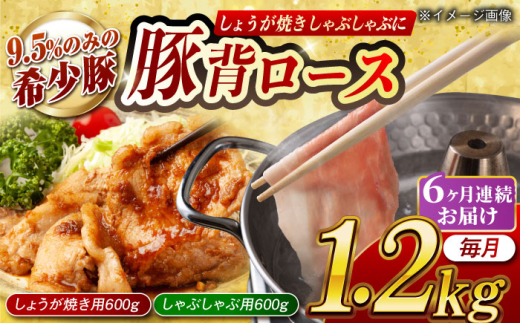 【月1回約1.2kg×6回定期便】大西海SPF豚 背ロース しょうが焼き用＆しゃぶしゃぶ用 計約7.2kg 長崎県/長崎県農協直販 [42ZZAA086]