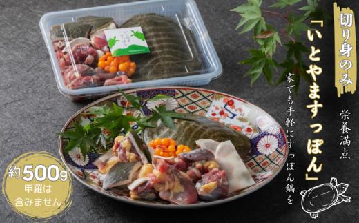 【切り身のみ】栄養満点の「いとやますっぽん」ですっぽん鍋を 500g 佐賀県産 スッポン 冷凍 鍋 カット済み 国産 簡単調理 美容 健康 コラーゲン 九州 佐賀県 佐賀市 ヤマト水産：B315-010