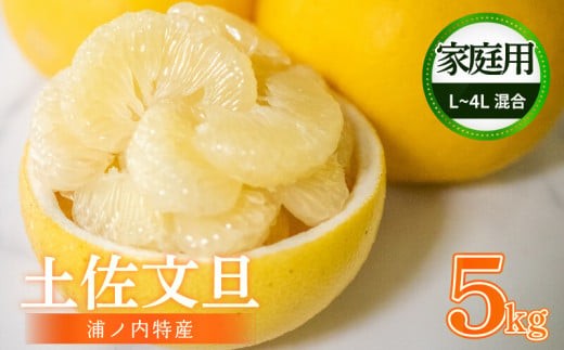 【早期予約開始 2027年2月頃より順次発送】 訳あり 文旦 家庭用 土佐文旦 5kg L ~ 4L サイズ 混合 果物 フルーツ 文旦 ぶんたん ブンタン 浦ノ内 みかん 蜜柑 柑橘 分担 旬 時期 予約開始 産地直送 美味しい おいしい 爽やか スイーツ おやつ デザート  皮 ピール 砂糖 漬け ビタミン ジューシー フレッシュ 新鮮 明神果樹園 高知県 須崎市