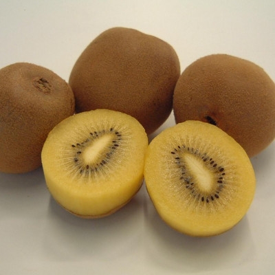 
                  ＜数量限定500セット＞超大玉さぬきゴールドキウイ　約1kg【1682684】
                