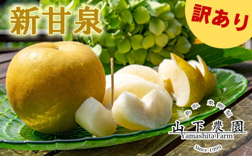 2M.湯梨浜東郷産 新甘泉5kg〔訳あり〕