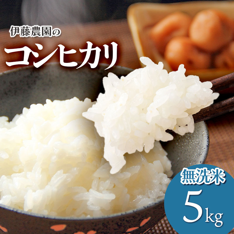 【令和7年産】【新米】コシヒカリ　無洗米5kg　伊藤農園