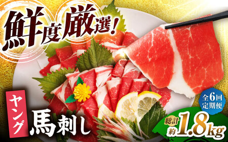 【6回定期便】ヤング馬刺し 計300g（3pc）＋タレ小【馬刺しの郷 民守】馬肉 熊本県 特産品 馬刺し  [ZBL074]