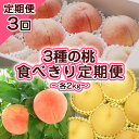 【ふるさと納税】【定期便3回】3種の桃　食べきり定期便〜各2kg〜 【令和7年産先行予約】FS23-706くだもの 果物 フルーツ 山形 山形県 山形市 お取り寄せ 2025年産