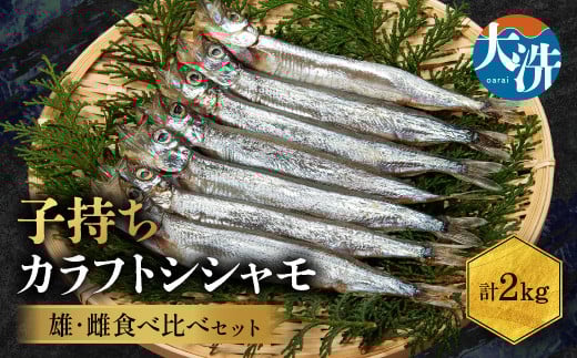 
ししゃも雄雌食べ比べ 2ｋｇ セット 訳アリ シシャモ ししゃも カラフトししゃも 大洗 規格外 訳あり わけあり 傷
