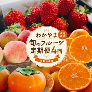 わかやま 旬の フルーツ 定期便【L】 全4回 / 有田みかん まりひめ いちご 桃 柿 ※北海道・沖縄・離島への配送不可【AA-ard-tkb911】 
