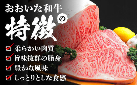 厳選「おおいた和牛」100%使用贅沢な生ハンバーグ(160g×5個) 日田市 おおいた和牛 牛肉 ハンバーグ [ARFE003]