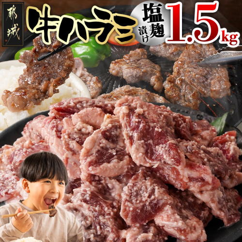 牛ハラミ 塩麹タレ漬け1.5kg_14-3305