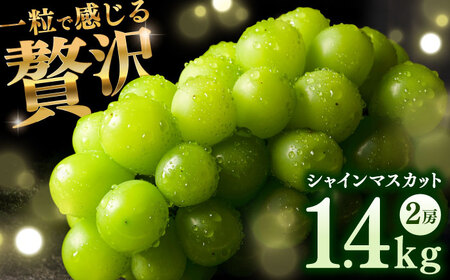 【2025年発送 先行予約】シャインマスカット 計1.4kg（2房入り） / シャインマスカット シャインマスカット シャインマスカット / 佐賀県 / 石橋果樹園 [41AAAJ001]