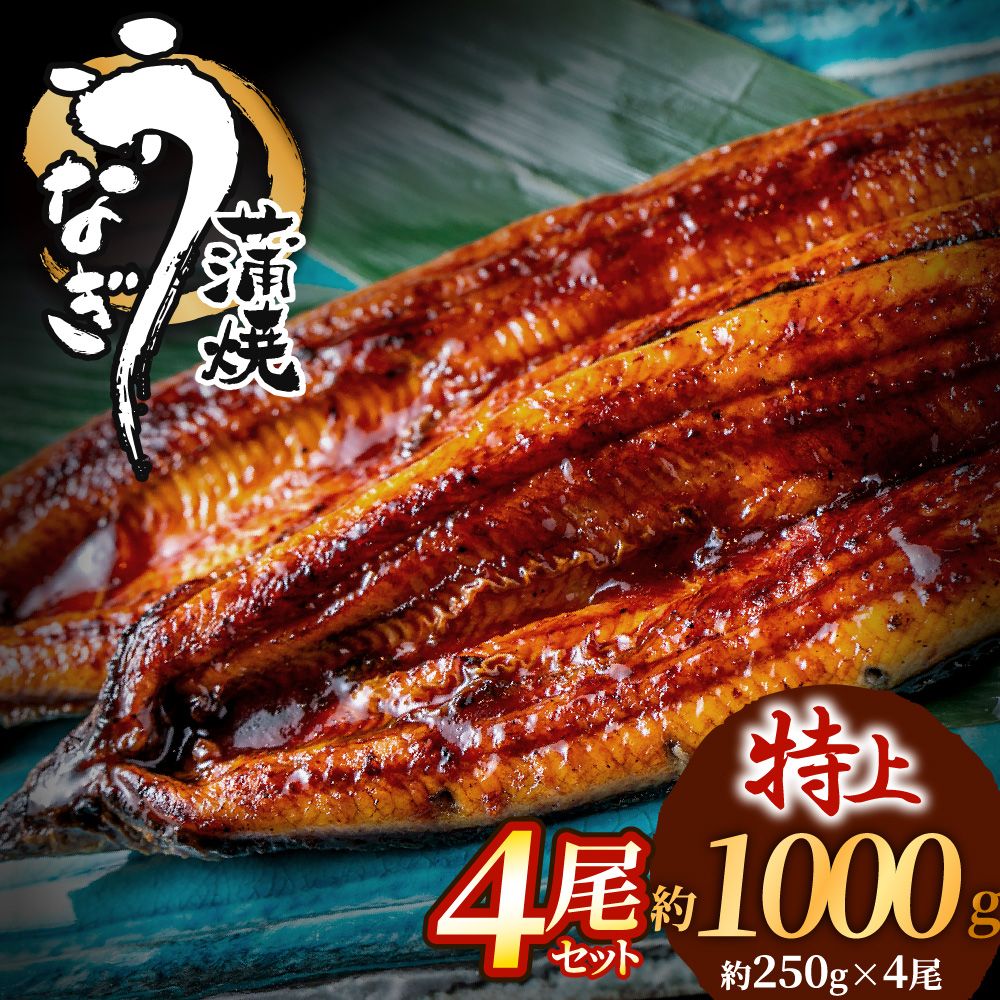 数量限定！地域応援企画！うなぎ蒲焼き4尾セット【魚住商店】_HA1494 特上 鰻 ウナギ 人気 特大 炭火 うなぎの蒲焼 丑の日 土用 真空 福岡県宗像市 宗像市 福岡 宗像