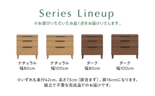 ローボード Salute サルテ 幅100cm DK ダーク ブラウン 家具 収納 書棚 本棚 完成品 【北海道・東北・沖縄・離島不可】CN020-DK