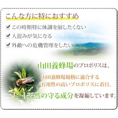 ふるさと納税 津山市 ビーエナジー(114) |  | 01
