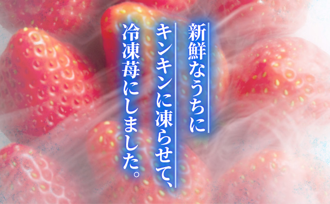 福岡産 冷凍 あまおう 1kg | 国産 フルーツ 果物 あまおう 冷凍 1kg