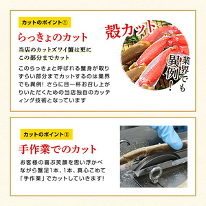 カット済み！ ボイルズワイガニ むき身セット 1.1kg (約3～4人前) 剝き身加工・特大3Lサイズ以上！ 【ズワイガニ ずわいがに 楚蟹 カニ 蟹 剥き身 むき身 ポーション バラ凍結 下処理なし