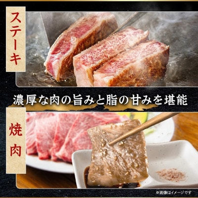 【発送月固定定期便】飛騨牛 赤身定期便 計3.4kg ヒレ モモ ブロック 赤身スライス 冷蔵全4回【配送不可地域：離島】