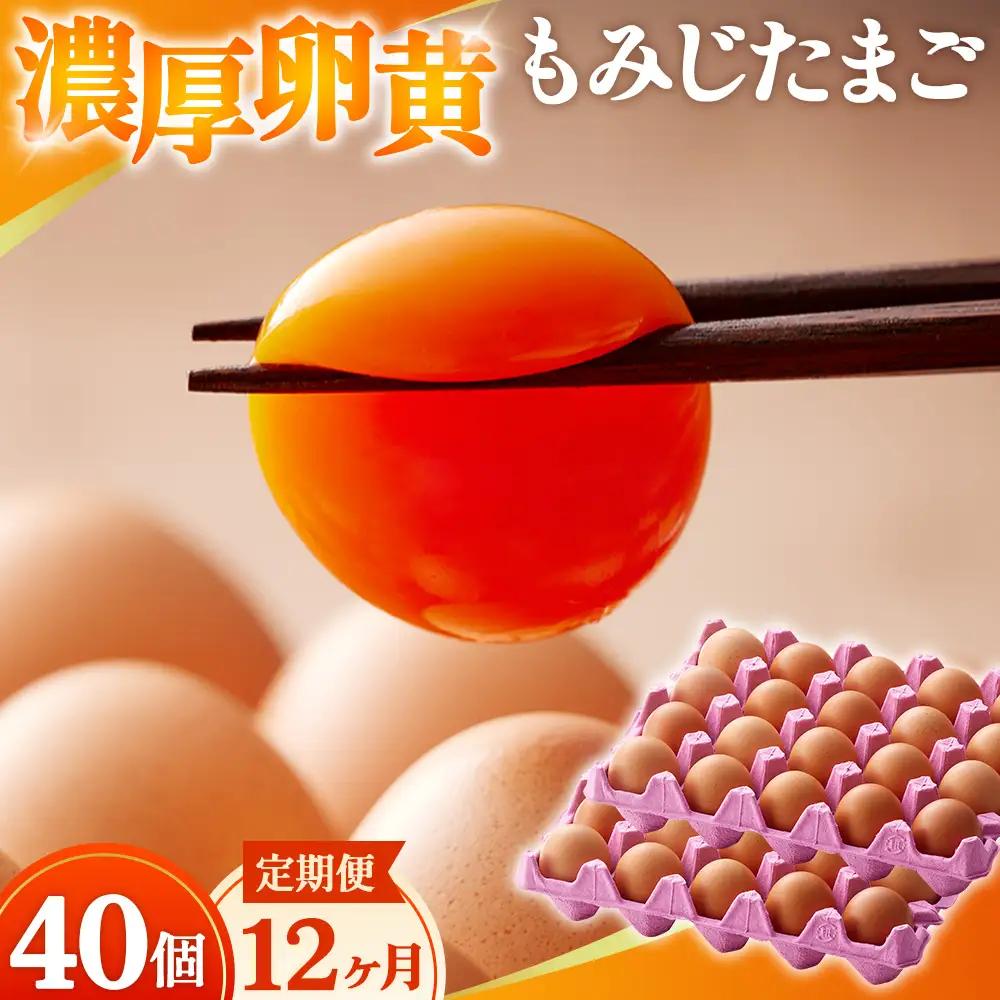 濃厚卵黄もみじたまご【40個入り】【12ヶ月連続】定期便 [No.938]