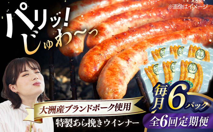 【全6回定期便】秒でプラスもう一品！ブランドポーク『オズの箱入り娘』使用！特製ウインナー（5本入り）×6袋 合計720g 豚肉 小分け ベーコン プレゼント 愛媛県大洲市/株式会社オズメッセ [AGAZ077]