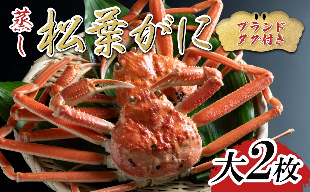 
                  【蒸し】ブランドタグ付き松葉ガニ 大2枚 2026年11月～順次発送｜鳥取 松葉がに かに【22051】
                