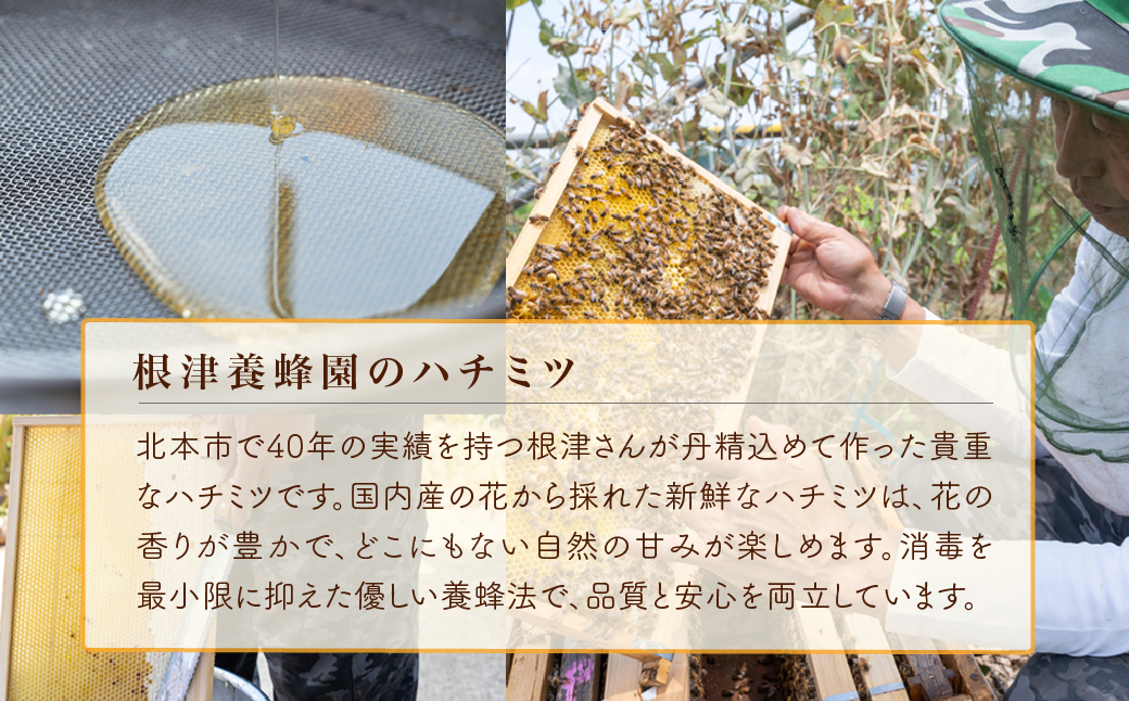 巣みつはちみつ 百花はちみつ セット 300g×2瓶