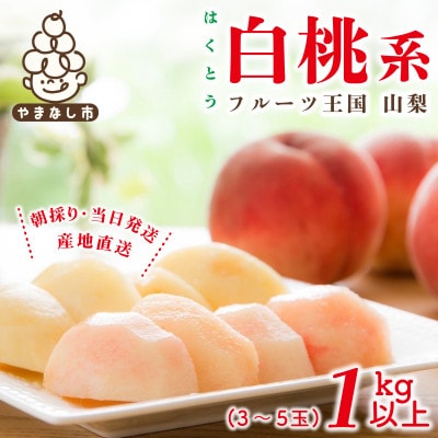 2026年先行受付　山梨県産 桃 白桃系 1kg以上(3～5玉) フルーツ王国・山梨県から産地直送【配送不可地域：離島・沖縄県】