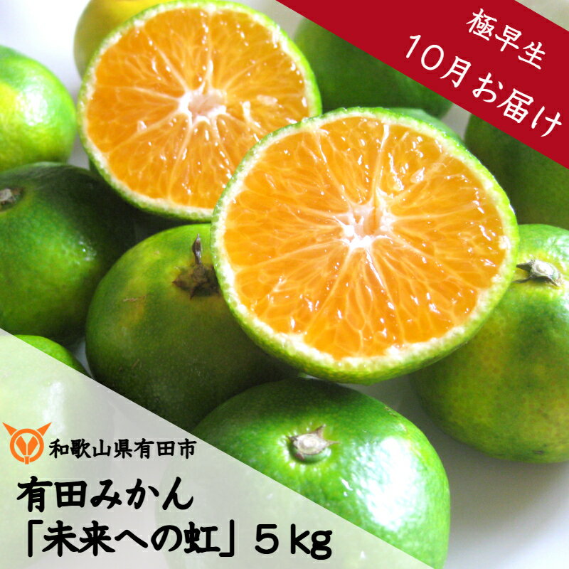 【ふるさと納税】【10月お届け】◇極早生◇有田みかん「未来への虹」5kg（A1035-1）