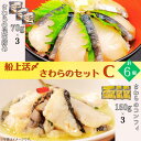 【ふるさと納税】惣菜 魚 船上活〆 さわら セット C 昆布締め 70 g × 3 個 コンフィ 150 g × 3 個 和 和食 洋食 パスタ 日本酒 つまみ おつまみ 冷凍 おかず お惣菜 おすすめ 天然 簡単 調理 昆布 取り寄せ 活け締め 活締め 食のちばの逸品 特別賞