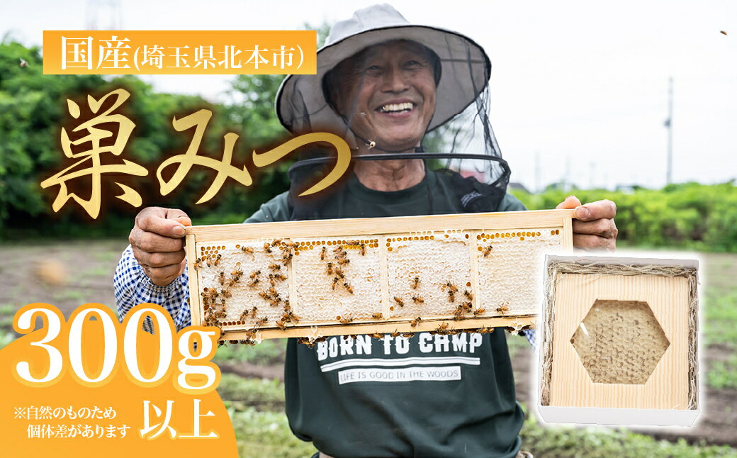 【ふるさと納税】巣みつ はちみつ 数量限定 | 巣蜜 はちみつ 蜂蜜 ハチミツ HONEY ハニー コムハニー 国産 巣房蜜 巣蜜 蜜蝋 百花 トースト ホットケーキ パンケーキ 健康 朝食 プレゼント 贈答 贈り物 北本産 根津ぶんぶーん農園 埼玉県 北本市