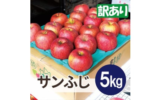 ＜26年5月出荷予定＞平均糖度13度以上! サンふじ 約5kg 訳あり CA貯蔵 クール便【1612840】