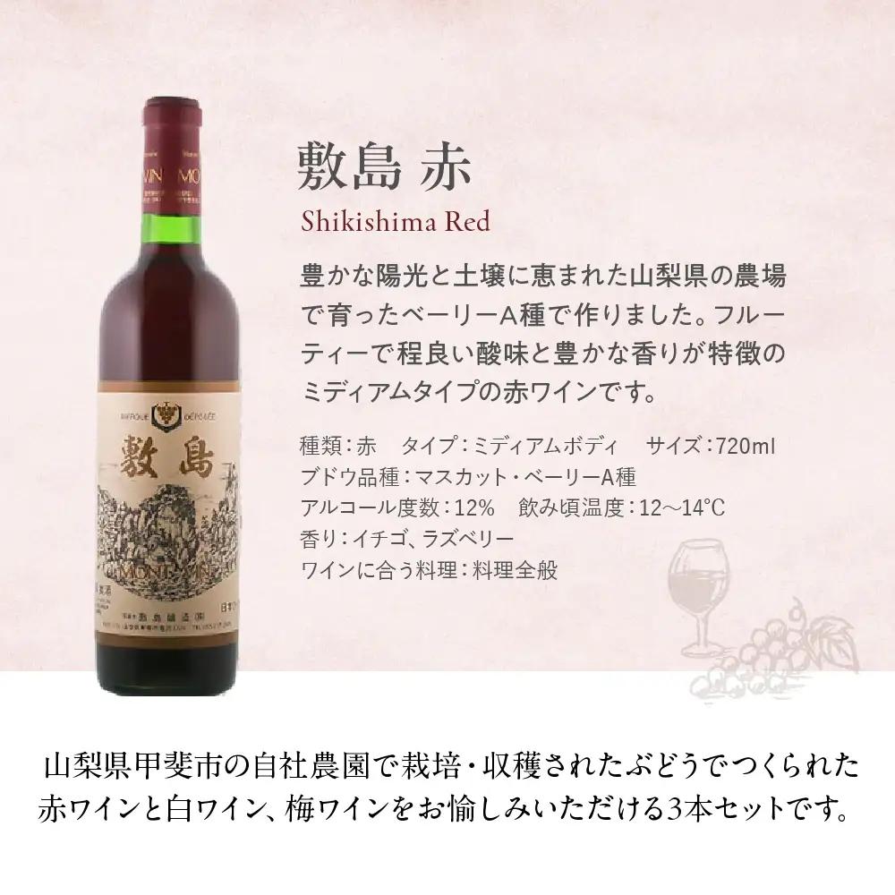 【敷島 赤 ＆ 敷島 白 & 甲州小梅ワイン】720ml × 3本 セット 敷島醸造 白ワイン 赤ワイン わいん 小梅ワイン 辛口 ワインセット 飲み比べ 日本ワイン 国産ワイン 甲州 山梨 甲斐市 