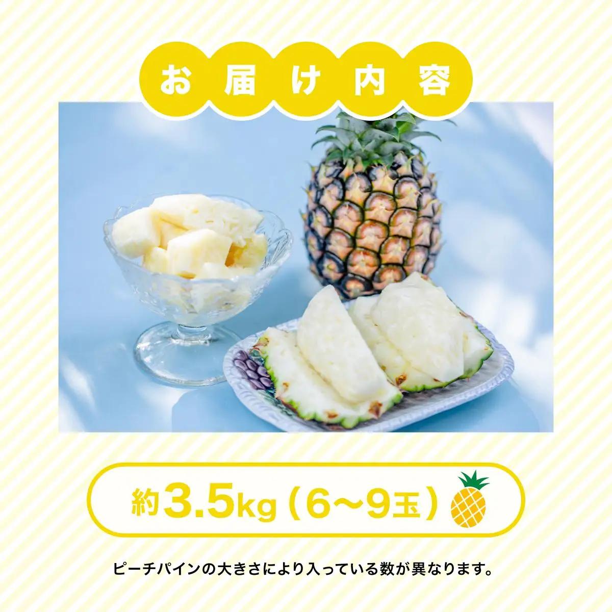 【2027年先行予約】小玉 ピーチパイン 約3.5kg