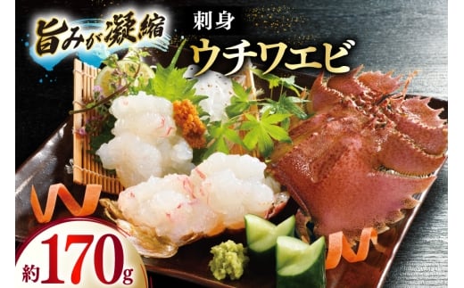 うちわえび エビ 海老 国産 刺し身 冷凍 ウチワエビ 刺身 約170g (ポン酢付) [ひばり 長崎県 平戸市 hr42bgy420060] 魚介 海鮮 海産物 セット 真空 真空パック お取り寄せ
