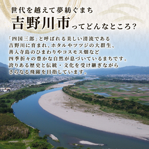 梅酒 美郷竜峡 500ml 1本 梅 ブレンド 梅酒 農事組合法人フジ 梅酒 梅酒 梅酒 梅酒 梅酒
