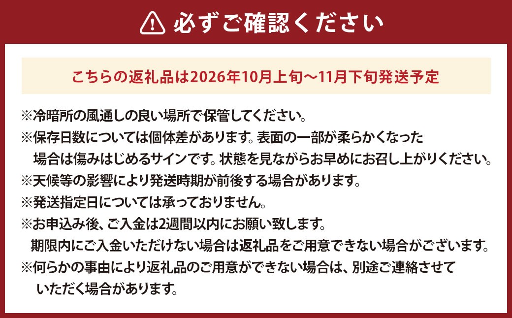 【先行受付】山梨県 中央市産 かぼちゃ【くり将軍】約4～5kg