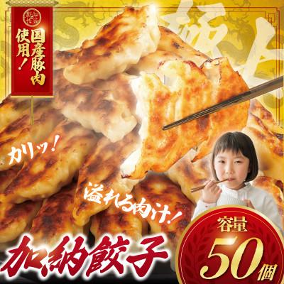 ふるさと納税 藤沢市 冷凍餃子(ぎょうざ)50個　冷凍便でお届けします。