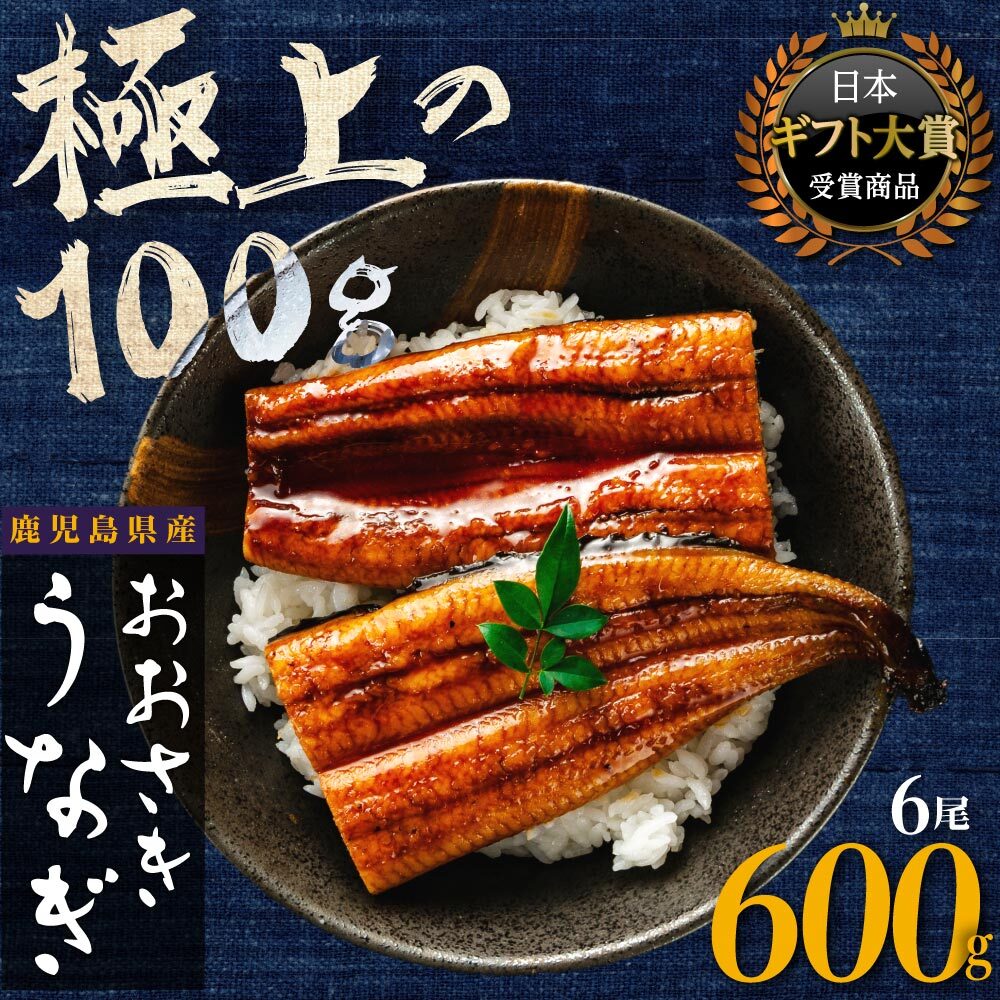 【ふるさと納税】うなぎ 総合ランキング 上位 獲得 鰻 長蒲焼 6尾 600g | ふるさと納税 うなぎ 高級 ウナギ 鰻 国産 蒲焼 蒲焼き たれ 鹿児島 大隅 大崎町 ふるさと 人気 送料無料