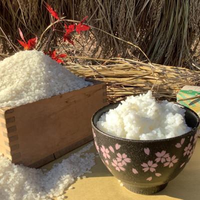 ふるさと納税 大子町 【新米先行予約】アミーゴ米コシヒカリ5kg(1年目・白米)【11月中旬から順次出荷】|茨城県大子町 |  | 01