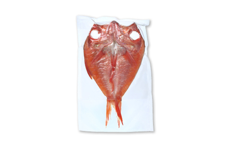 親子五代 釜鶴ひもの店/金目鯛干物（大）　1枚