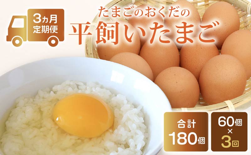 【定期便3回】 平飼い卵 60個入り たまご 卵 タマゴ 鶏卵