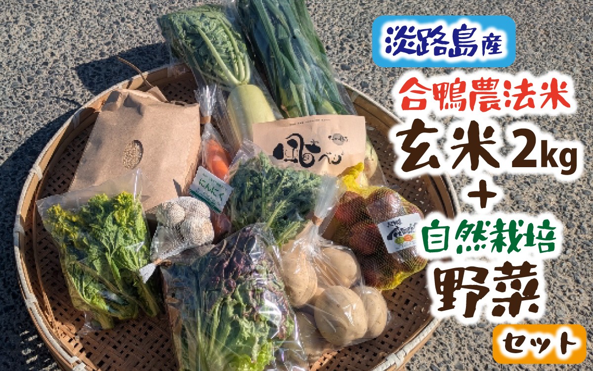 
                  【期間限定】淡路島産 合鴨農法米玄米2kg＋自然栽培野菜セット ／ 野菜 自然栽培 農薬不使用 兵庫 兵庫県 洲本市 セット 詰合せ 玄米 人参 玉ねぎ かぼちゃ ジャガイモ オクラ ピーマン ズッキーニ
                