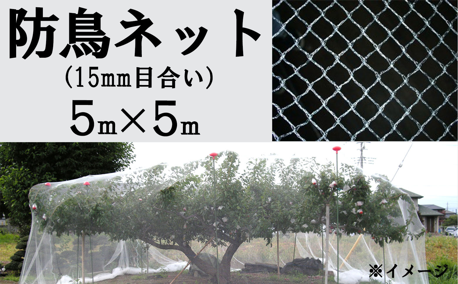 
            防鳥ネット（１５㎜目合い）５m×５m
          