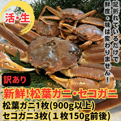 【ふるさと納税】【さかなや新鮮組】鳥取県産 訳あり 活松葉ガニ1枚(900g以上)・セコガニ3枚セット 漁港直送【配送不可地域：離島・北海道・沖縄県・東北・信越、北陸】【1759710】