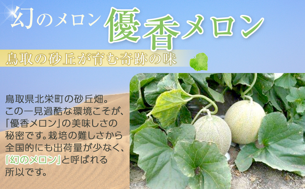 786.【先行予約】幻の「優香メロン」うれしい！3~4玉入 　※2025年６月下旬より順次発送予定