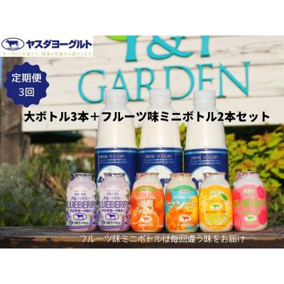 ふるさと納税 阿賀野市 【3ヶ月定期便】ヤスダヨーグルト ちょい足しフルーツセレクションセットお試し便